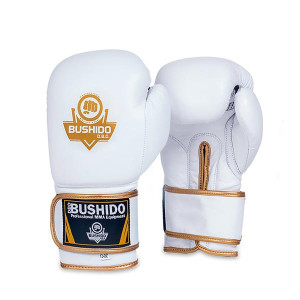 Boxerské rukavice DBX BUSHIDO DBD-B-2 | Fitness Lifestyle