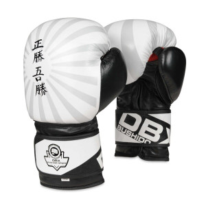 Boxerské rukavice DBX BUSHIDO B-2v8 | Fitness Lifestyle