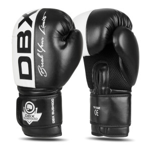 Boxerské rukavice DBX BUSHIDO B-2v20 | Fitness Lifestyle
