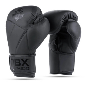 Boxerské rukavice DBX BUSHIDO B-2v15B | Fitness Lifestyle